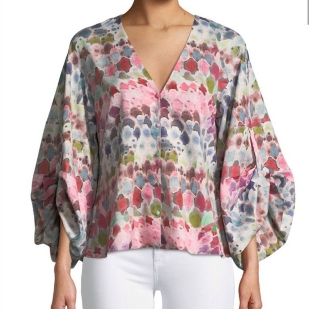 Alexis Top Blouse Womens XL Charlie V Neck Watercolor Print Silk Crepe Multicolo